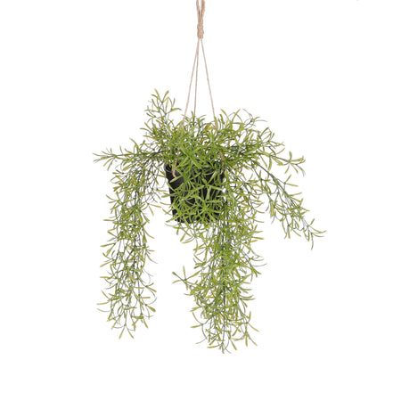 Mica Decorations -  Kunstplant mica rhipsalis hangend in pot groen | 6 stuks
