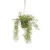 Mica Decorations -  Kunstplant mica rhipsalis hangend in pot groen | 6 stuks