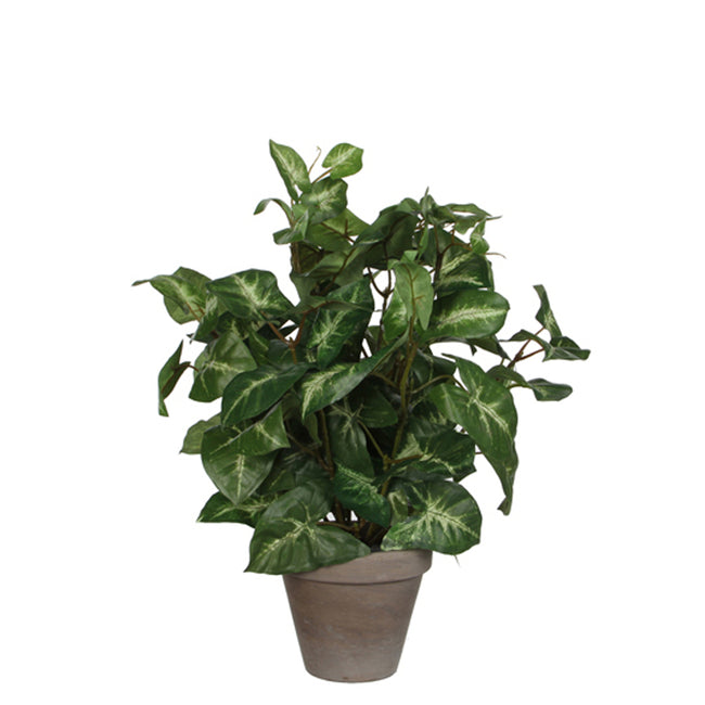 Mica Decorations -  Kunstplant mica syngonium groen in pot