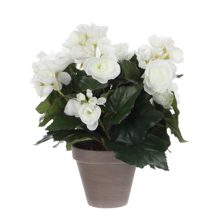 Mica Decorations -  Kunstplant mica begonia wit in pot stan grijs