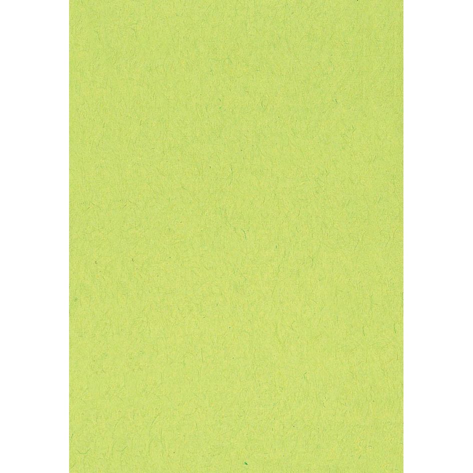 Klika - Colored drawing paper, 120 g, ft 21 x 29.7, A4, light green, pack of 500 sheets