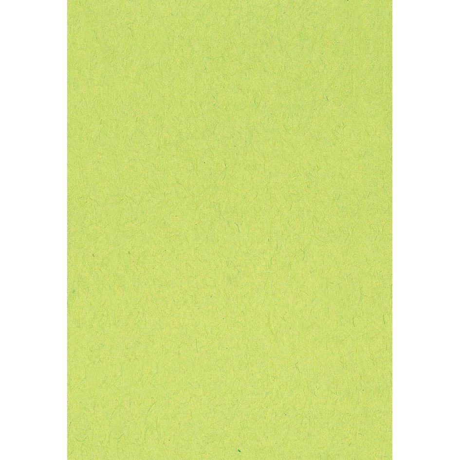 Merkloos - Gekleurd tekenpapier, 120 g, ft 21 x 29,7, A4, lichtgroen, pak van 500 vel