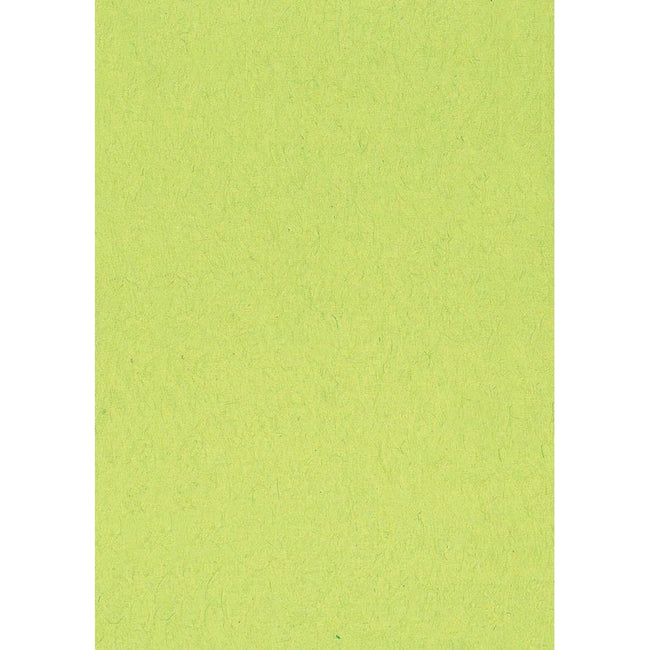 Merkloos - Gekleurd tekenpapier, 120 g, ft 21 x 29,7, A4, lichtgroen, pak van 500 vel