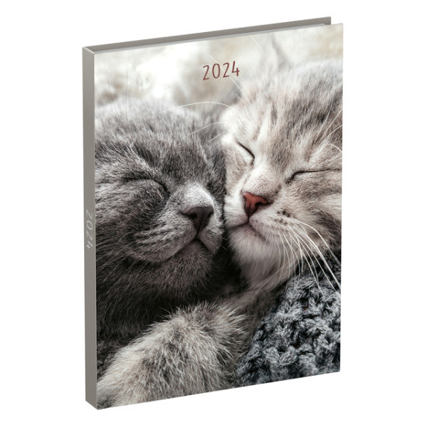 Agenda 2024 Lannoo meine Lieblingsfreunde 7 Tage/2 Seiten 110x150 Katze Umarmung