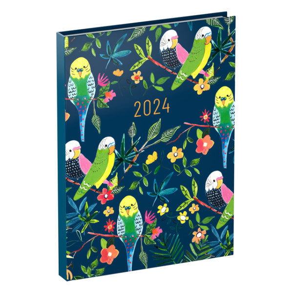 Agenda 2024 Lannoo Paper Salat Vogels 7Dagen/2 Seiten 110x150