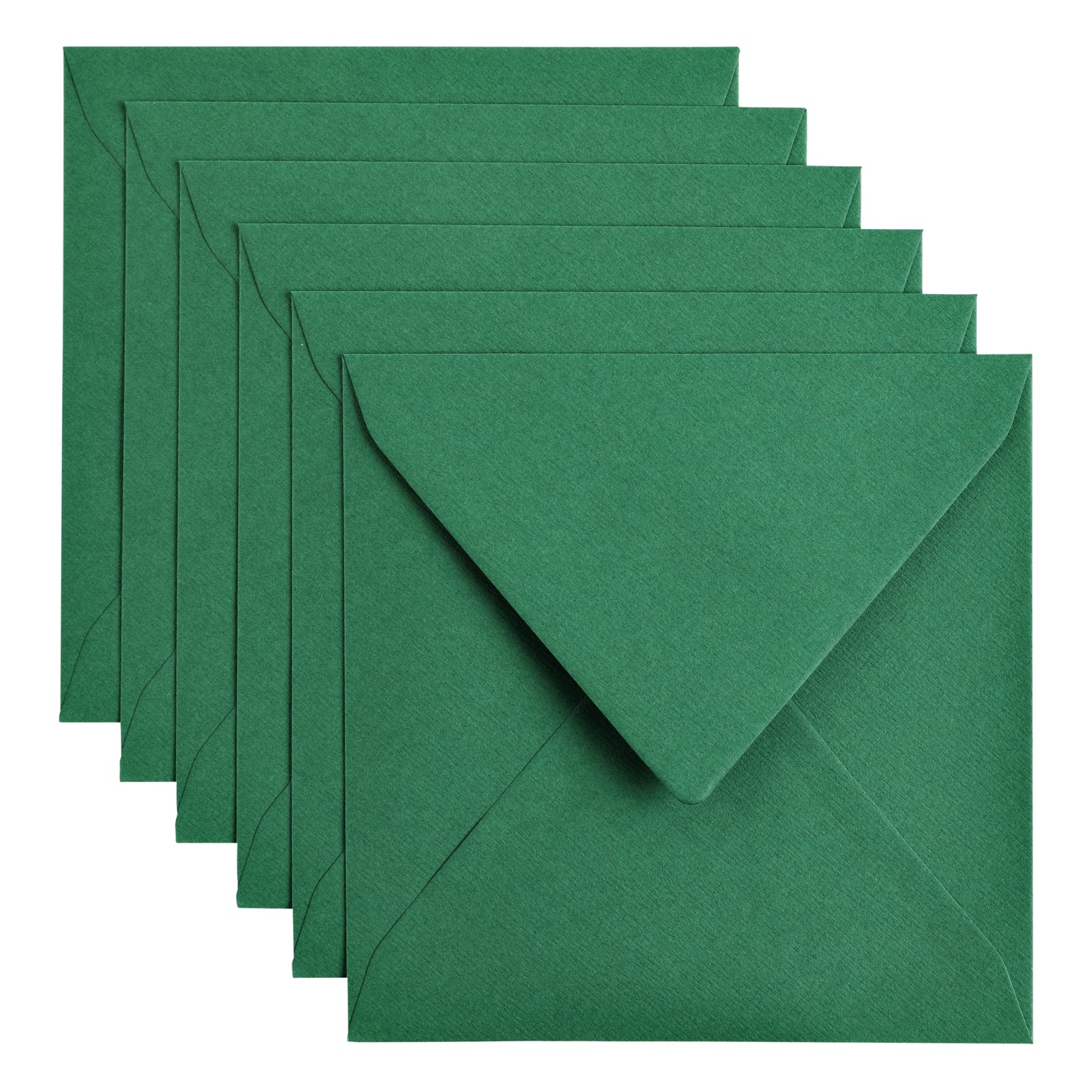 Papicolor - Busta 140x140mm verde pino, confezione da 6 pezzi