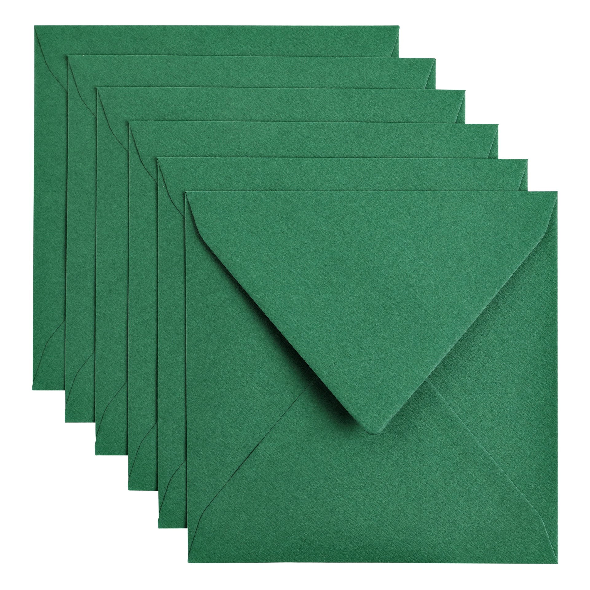 Papicolor - Busta 140x140mm verde pino, confezione da 6 pezzi
