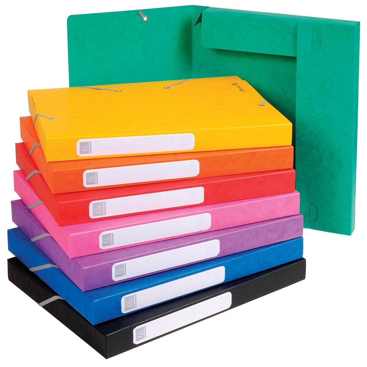 Exacompta - Elastobox Cartobox dorso da 2,5 cm, colori assortiti: verde, blu, giallo, rosso, arancione, ...