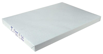 Clairefontaine - Papier de présentation DCP SRA3, 250 g, paquet de 125 feuilles