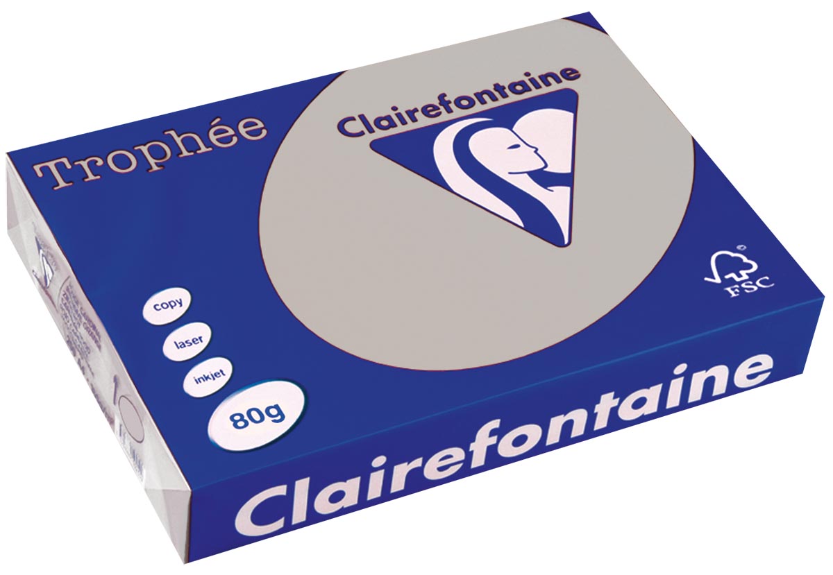 Clairefontaine - Trophée gekleurd papier, A4, 80 g, 500 vel, lichtgrijs