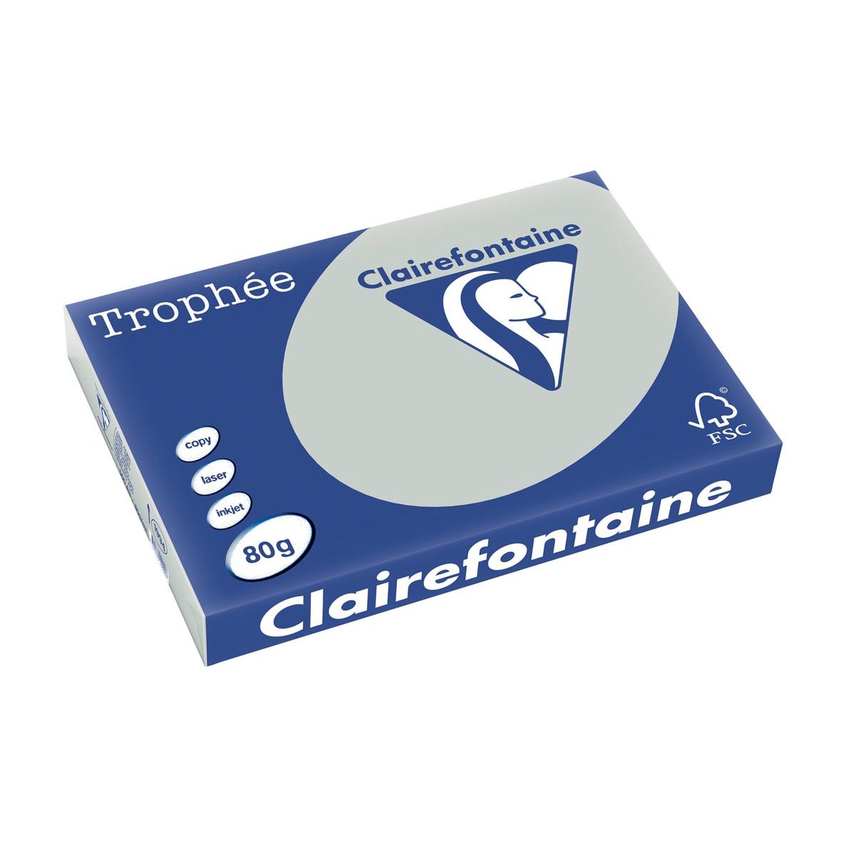 Clairefontaine - Trophée tel, carta colorata, A3, 80 g, 500 fogli, grigio chiaro