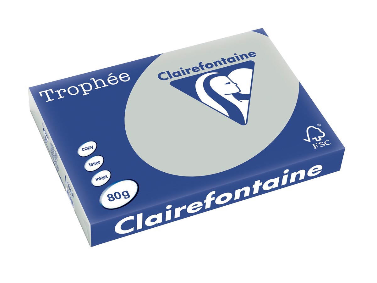 Clairefontaine - Trophée tel, colored paper, A3, 80 g, 500 sheets, light gray