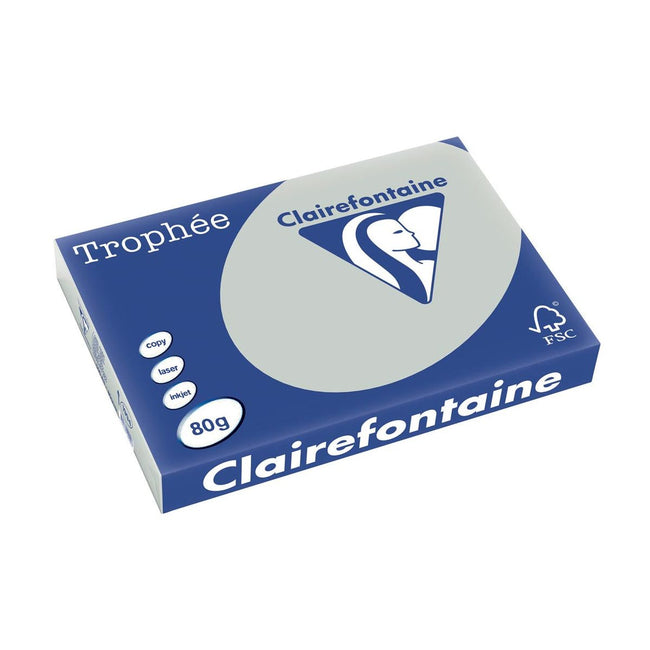 Clairefontaine - Trophée Tél, papier coloré, A3, 80 g, 500 feuilles, gris clair