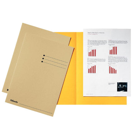 Esselte - file folder gems, cardboard of 180 g/m², pack of 100 pieces