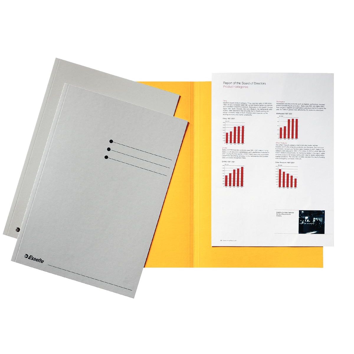 Esselte - carpeta gris, cartón de 180 g/m², paquete de 100 unidades