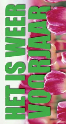 Klika - Tema del biglietto in vetrina È ANCORA PRIMAVERA