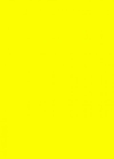 Prijskaart 6x8cm 100st. fluor geel