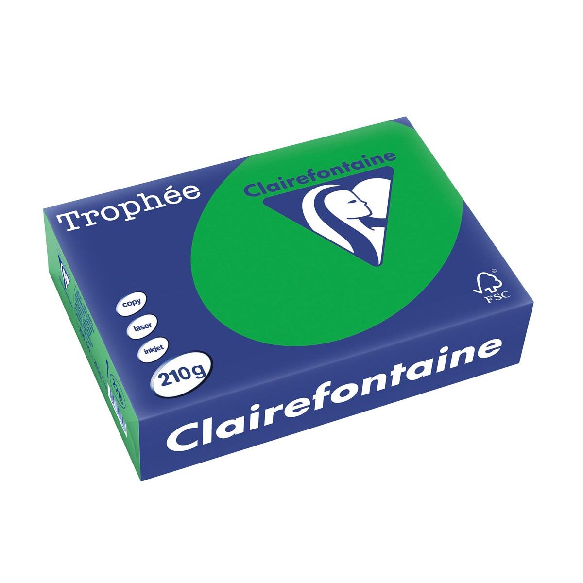 Clairefontaine - Trophée Intens, carta colorata, A4, 210 g, 250 fogli, verde bijart