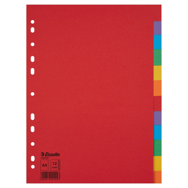 Esselte - Tabs Economy A4 12-piece cardboard 11-ring assorted