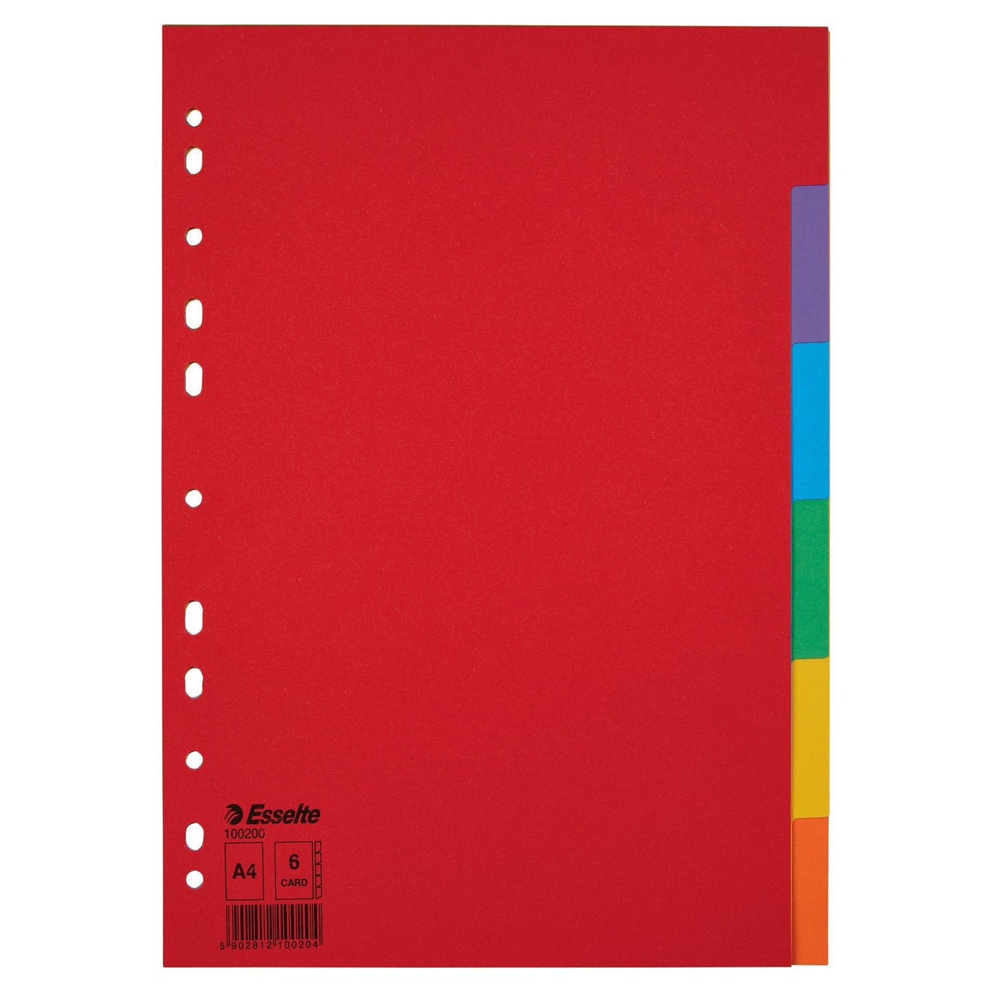 Esselte - Onglets Economy A4 6 pièces en carton 11 anneaux assortis | 20 pièces