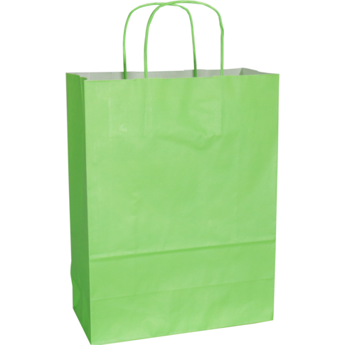 Klika - Tas | Kraftpapier | gedraaid papieren koord | 26x 12x35cm | draagtas | groen | 50 stuks