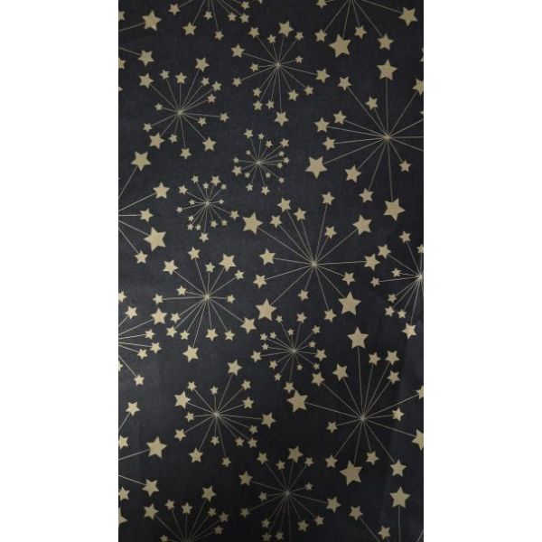 Carta velina seta 50x75cm 22gr 100 fogli nera con stelle oro