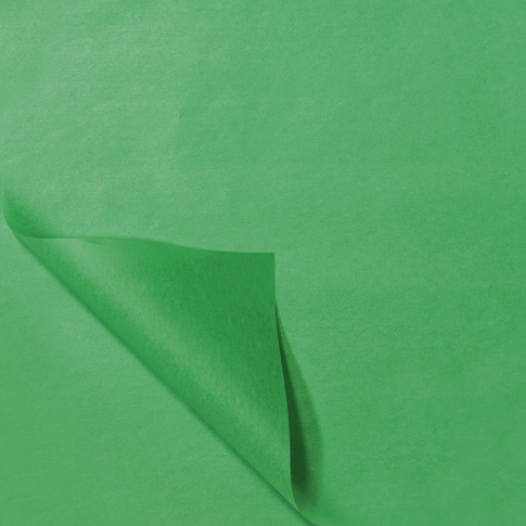 Fiche | tissus de soie | papier | 50x70cm | vert clair | 100 feuilles
