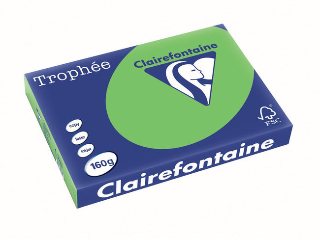 Clairefontaine -  Trophée Intens, gekleurd papier, A3, 160 g, 250 vel, grasgroen