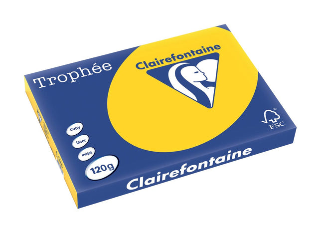 Clairefontaine -  Trophée tel, gekleurd papier, A3, 120 g, 250 vel, goudgeel