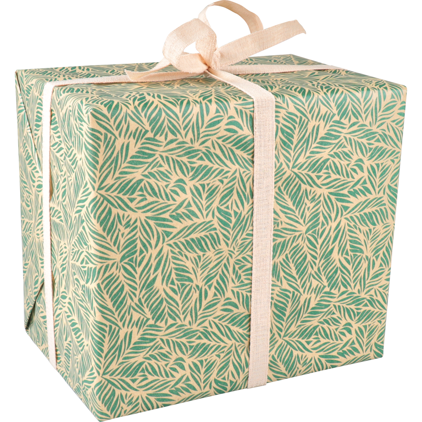 Klika - papier cadeau 50 cm | 100m | 65gr / m² Feuilles | Vert / kraft