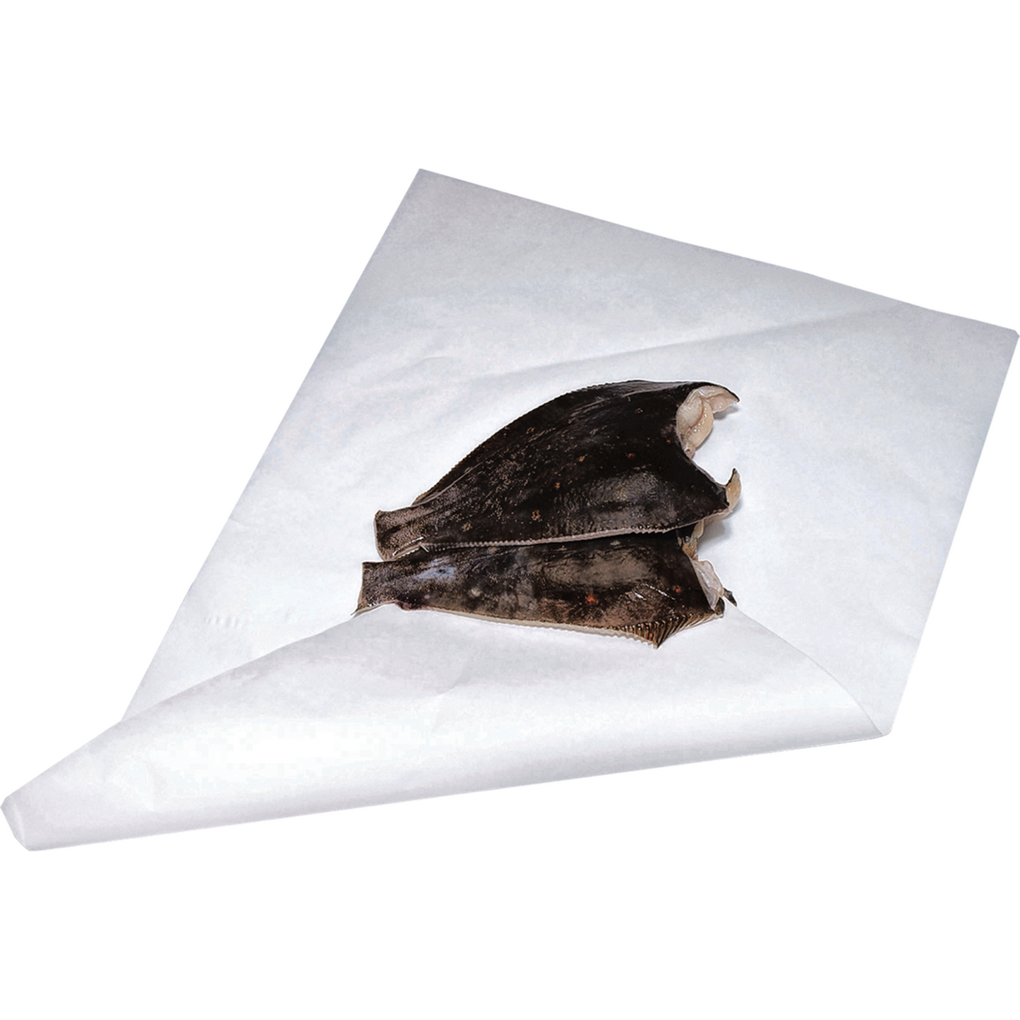 Klika - Foglio | surrogato di carta | 37x50 cm | bianco | 10 chilogrammi