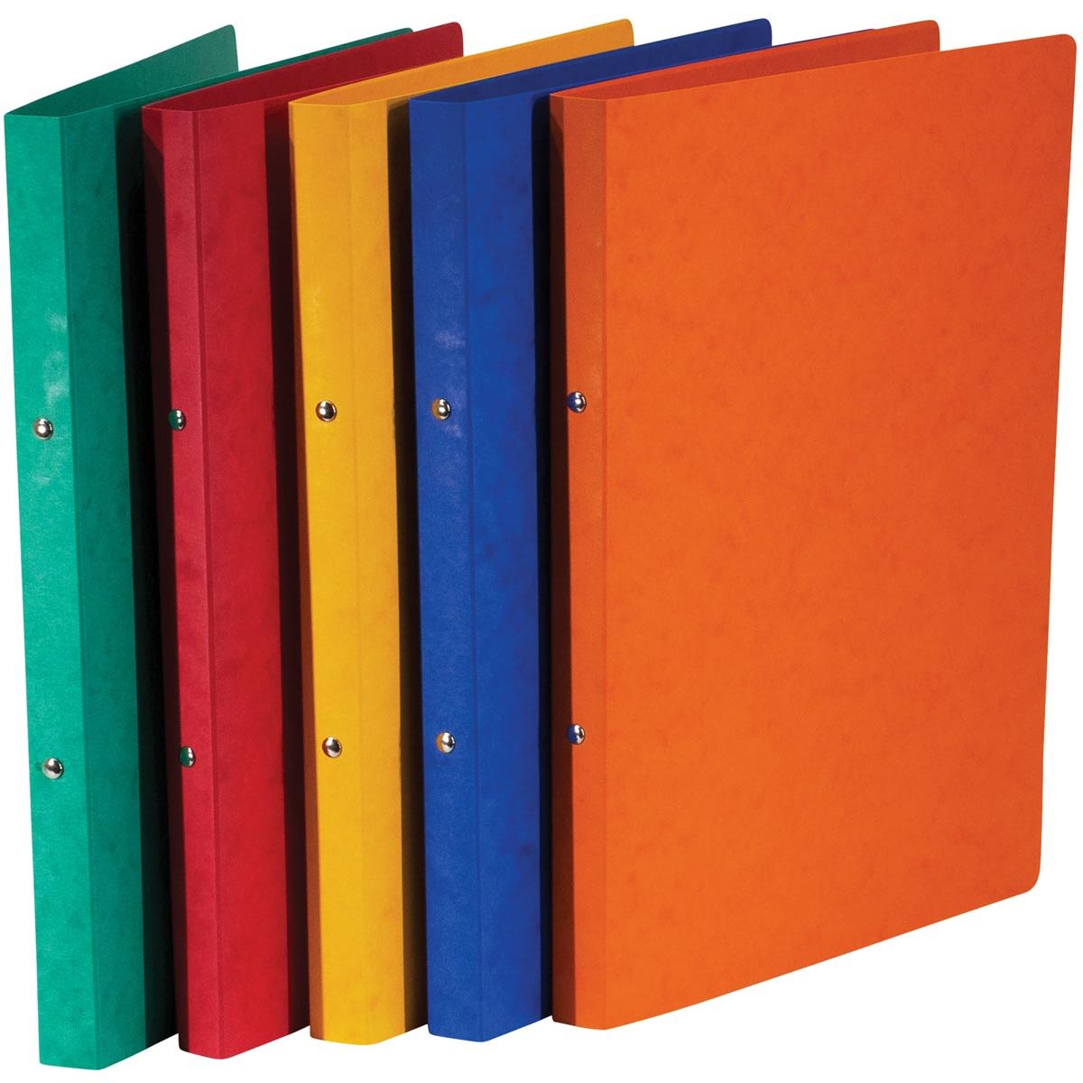 Bronyl - classeur à anneaux, pour ft A4, en carton brillant, 2 anneaux de 16 mm, couleurs assorties