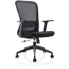Ohne Marke - Ergonomischer Bürostuhl, Kunststoffgestell, Schwarz, 2er-Set
