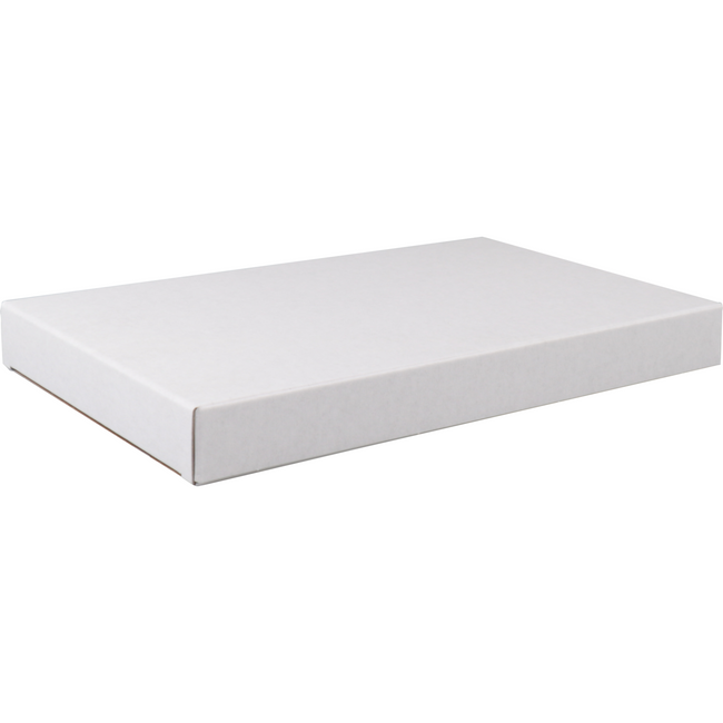 SENDFORTEL® - Letterbox Box 160x28x255mm 50 Stück Weiß weiß