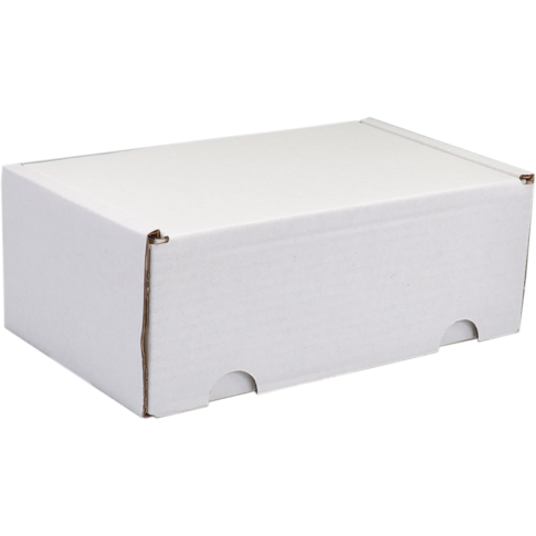 SENDPORORE® - Post -Paketbox | Golfkarton | 110x180x71mm | Empor Weiß | 25 Stücke