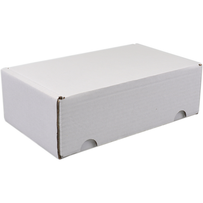 SENDPORORE® - Post -Paketbox | Golfkarton | 130x210x70mm | Empor Weiß | 25 Stücke