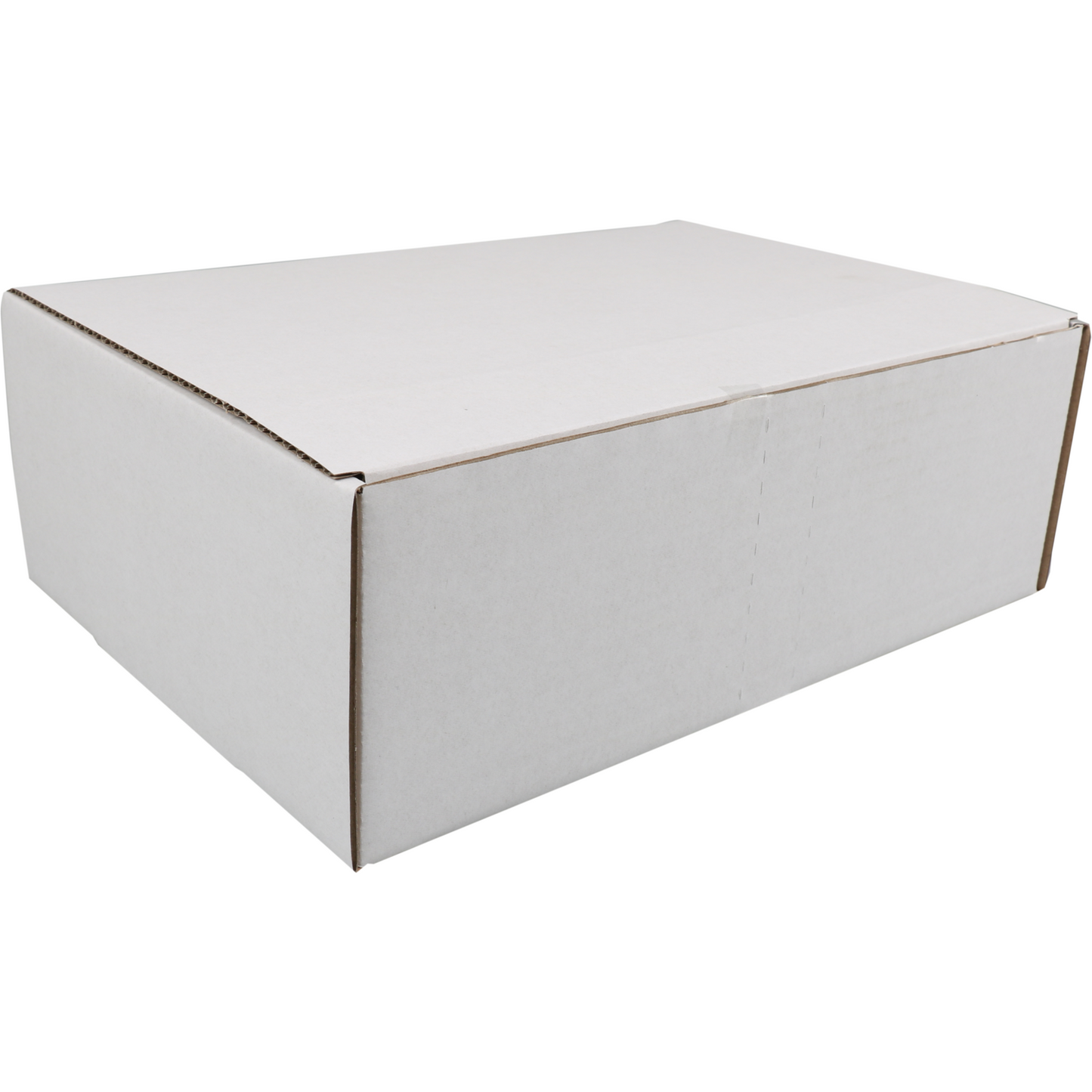 SENDPORORE® - Post -Paketbox | Golfkarton | 302x215x105mm | Empor Weiß | 25 Stücke