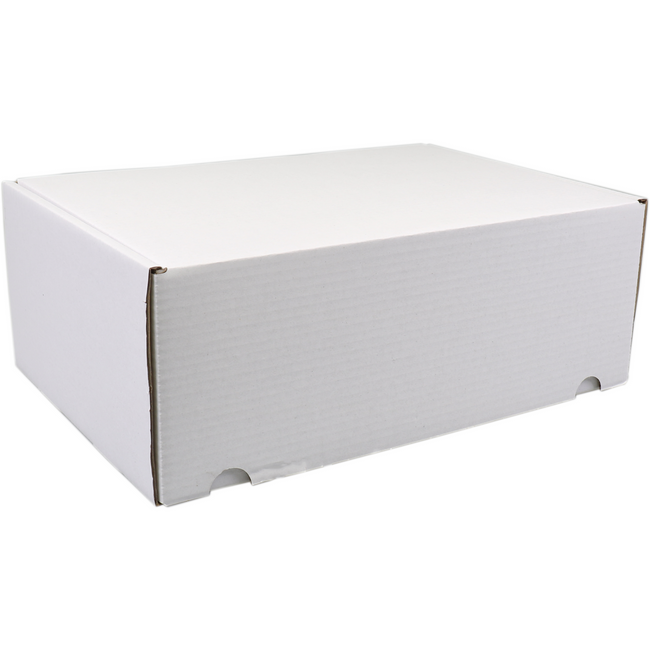 SendProof® - flap box folding box 315x215x120mm white