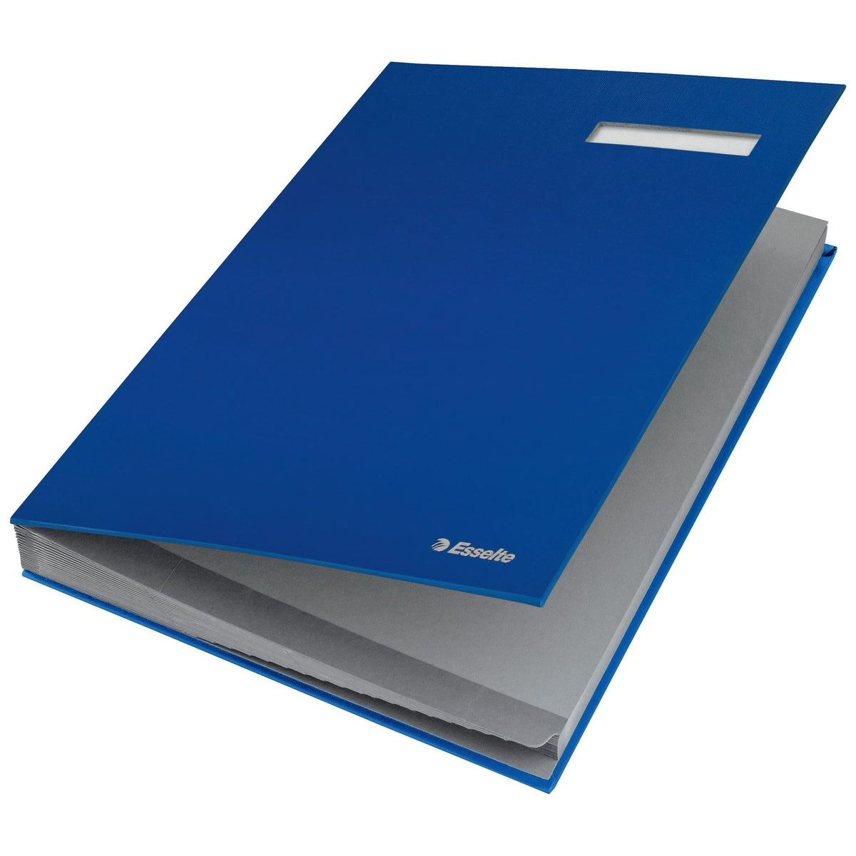 Esselte -  621063 map Blauw