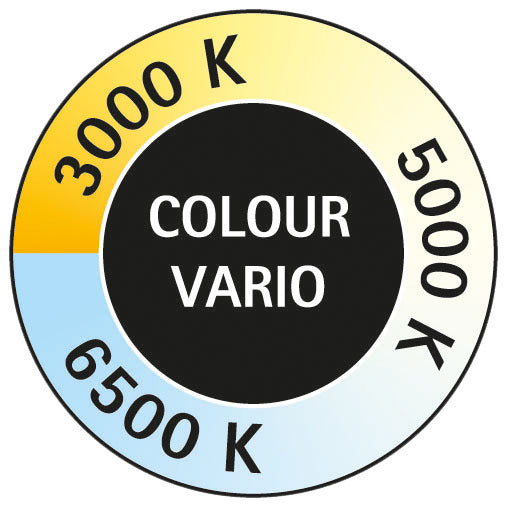 Maul -  Bureaulamp  pearly led colour vario zwart | 8 stuks