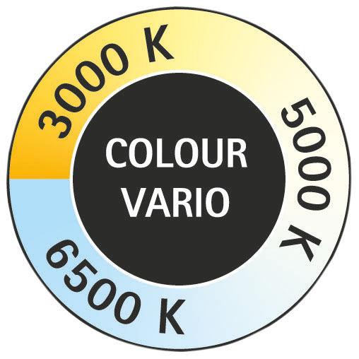 Maul -  Bureaulamp  pearly led colour vario zwart | 8 stuks