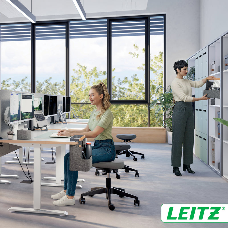 Leitz -  Bureau organizer  draagbaar han donkergrijs | 4 stuks