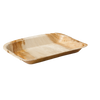 Biodore® -   Bord, rechthoekig, 1-vaks, Palmblad,17x14cm 25 stuks