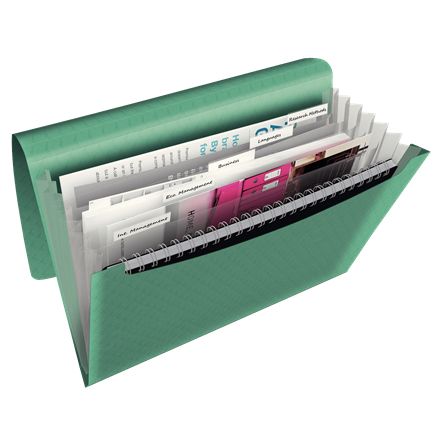 Esselte - Cartella frontale Colour'Breeze, 6 scomparti, verde