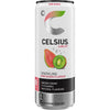 Celsius -   Kiwi Guave, blik van 25 cl, pak van 12 stuks
