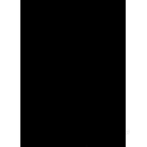 GBC - Copertina a4 pp 300micron nera