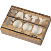 Klika -  Cateringdoos | Tastyfood | karton + PP | 357x247x80mm | bruin | 100 stuks