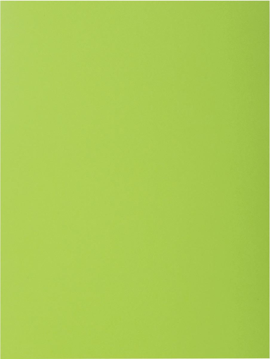Exacompta -  Rock's 80 dossiermap, ft 22 x 31 cm, pak van 100, muntgroen