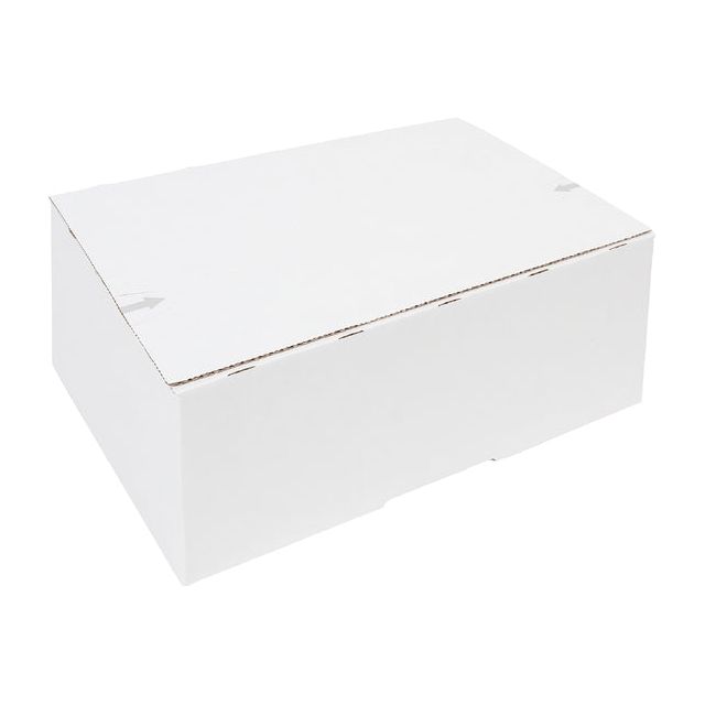 IEZZY - Postpakketbox 4 305x215x110mm wit | 5 stuks