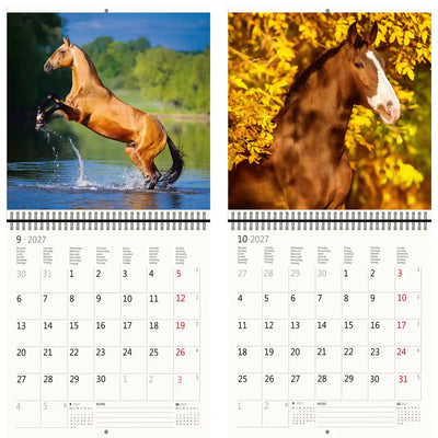 Helma 365 -  Kalender 2027 30x30cm paarden